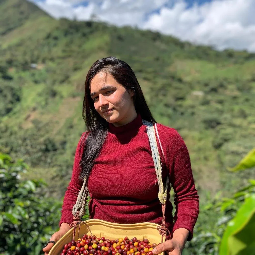 Peru, Lonya Grande | medium