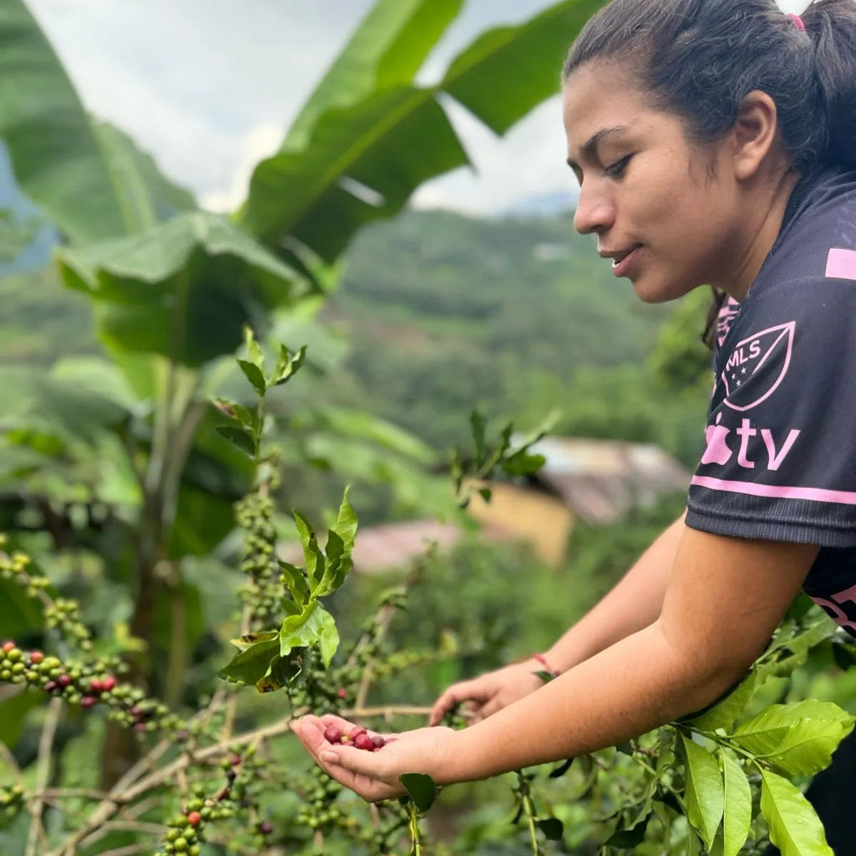 Peru, Lonya Grande | medium