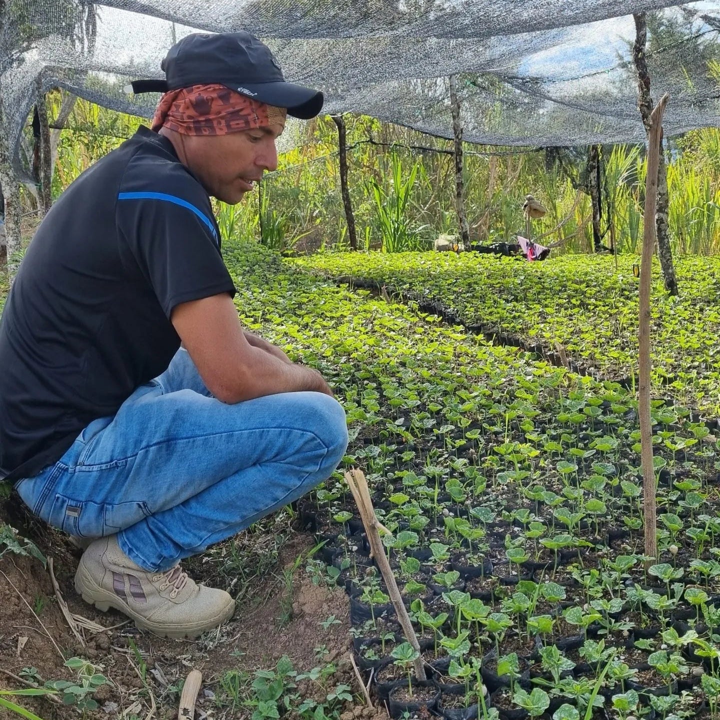 Colombia, Nariño | light