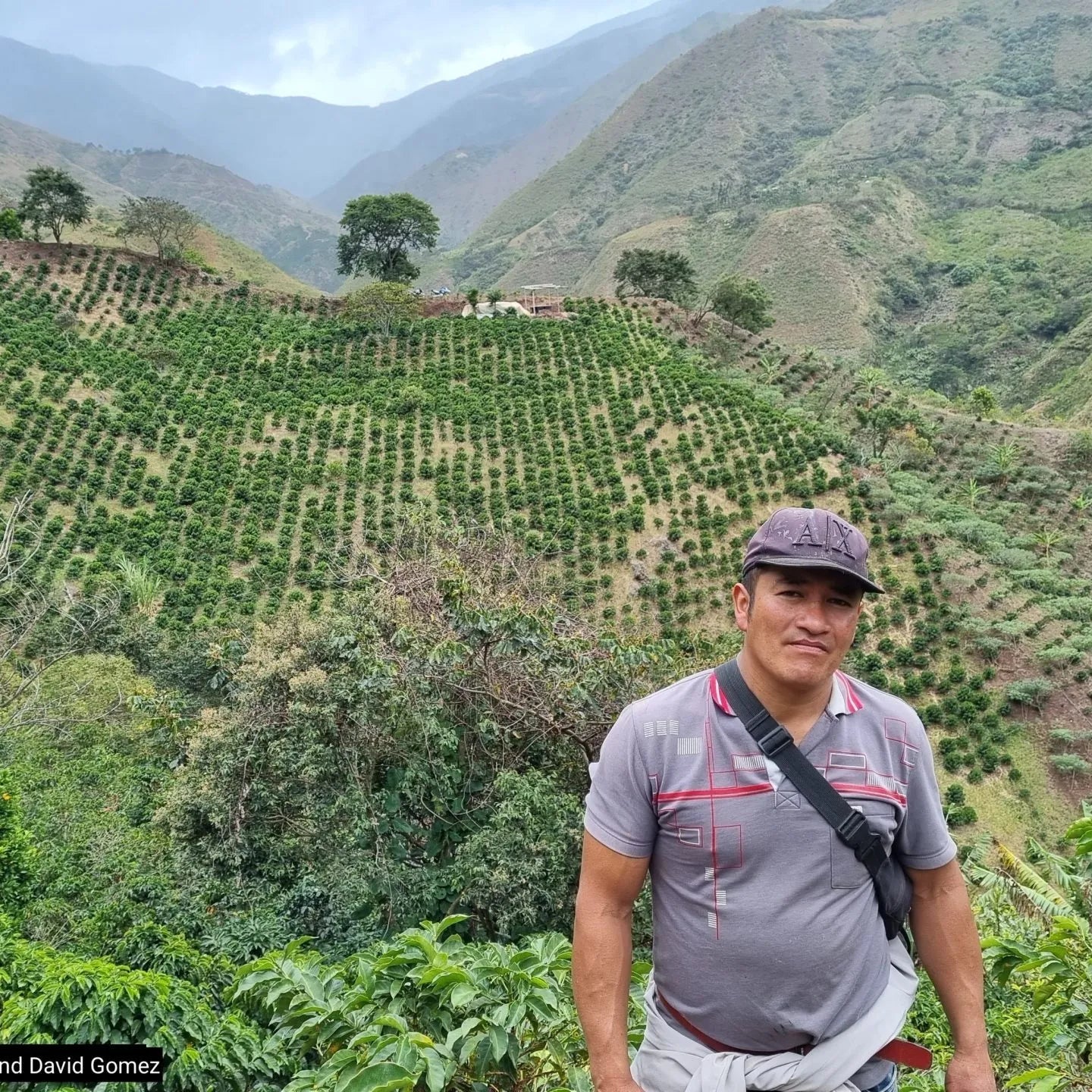 Colombia, Nariño | light