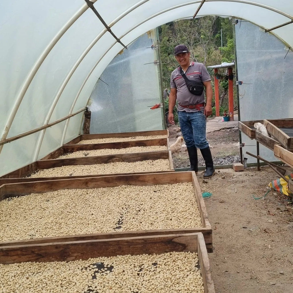 Colombia, Nariño | light