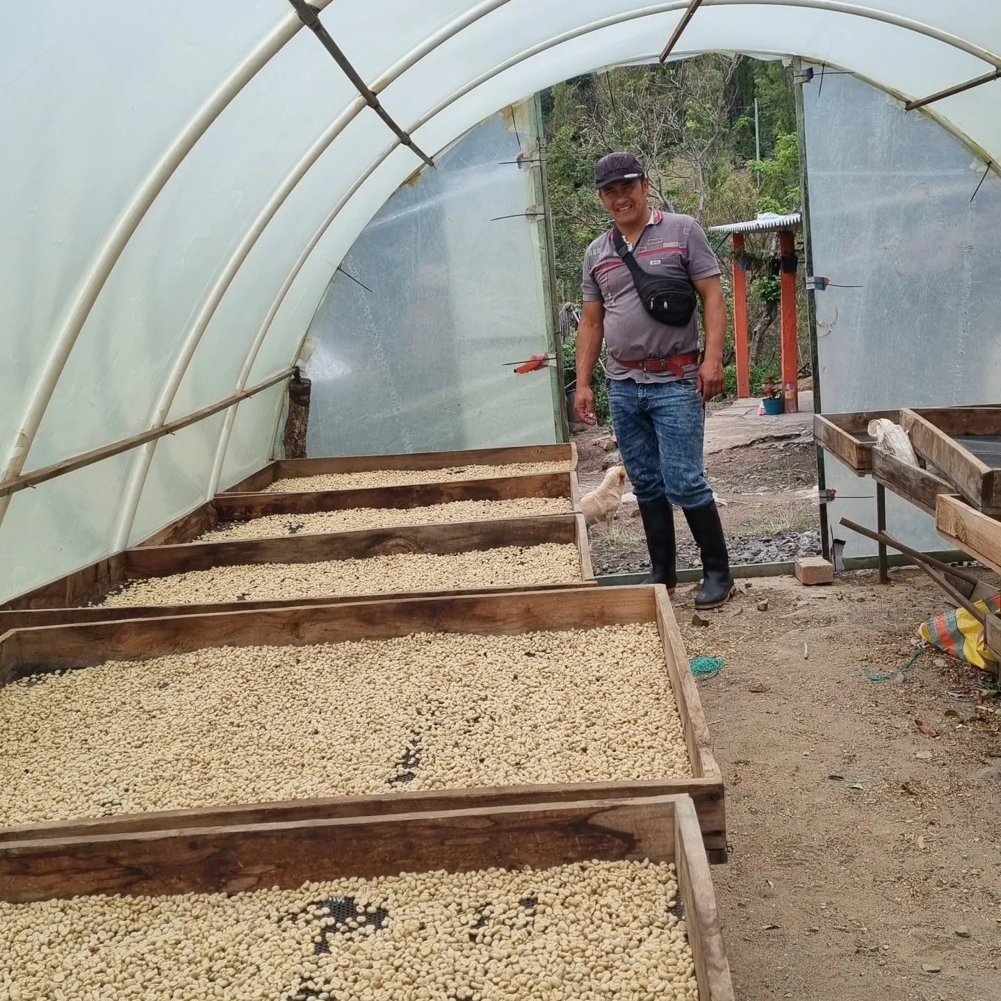 Colombia, Nariño | light