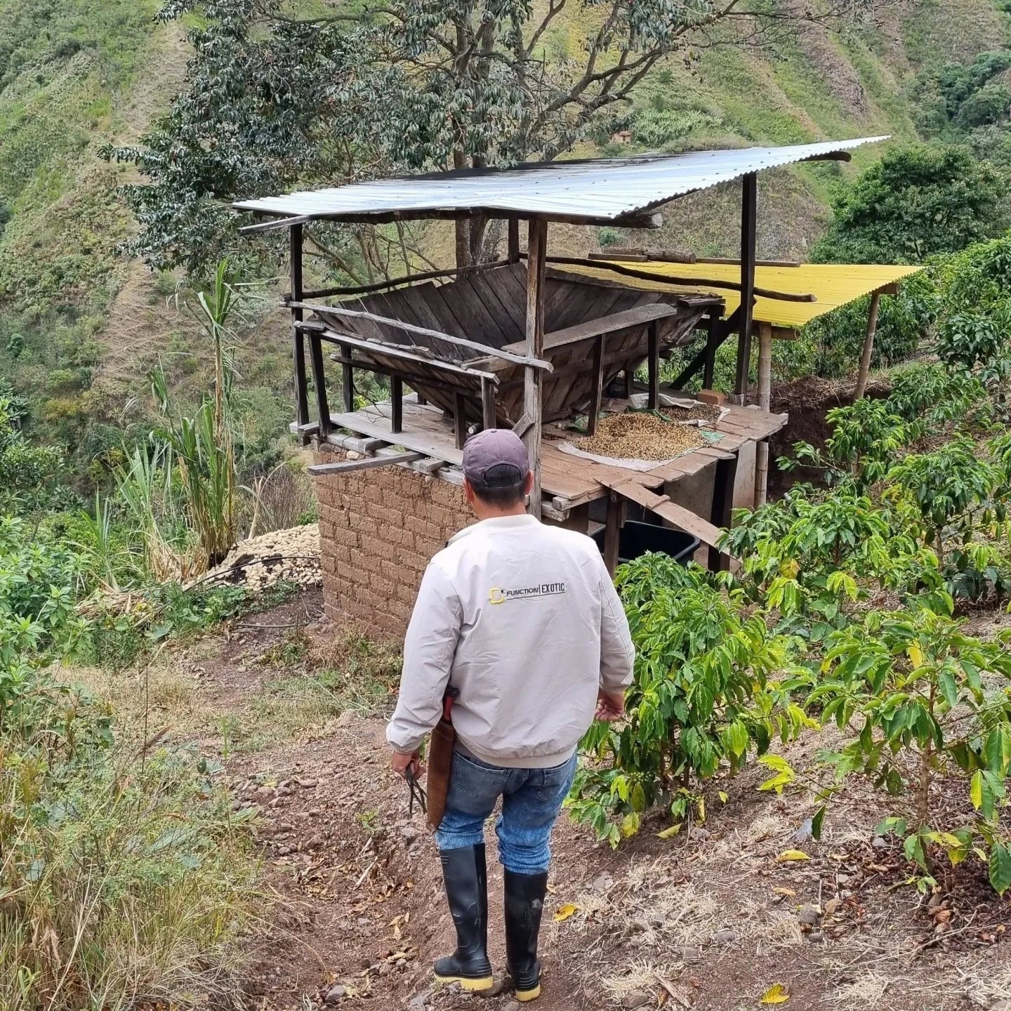 Colombia, Nariño | light